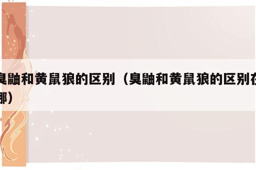 臭鼬和黄鼠狼的区别（臭鼬和黄鼠狼的区别在哪）