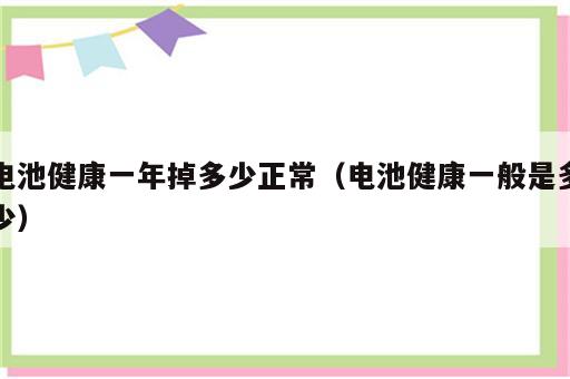 电池健康一年掉多少正常（电池健康一般是多少）