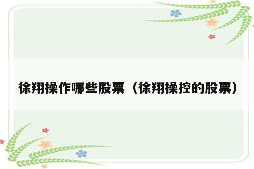 徐翔操作哪些股票（徐翔操控的股票）
