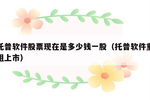 托普软件股票现在是多少钱一股（托普软件重组上市）