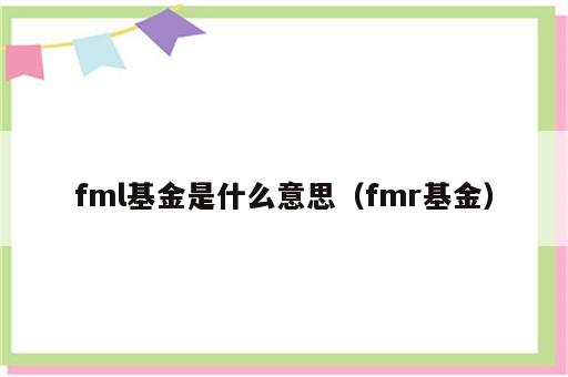 fml基金是什么意思（fmr基金）
