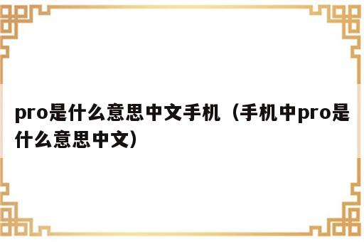 pro是什么意思中文手机（手机中pro是什么意思中文）