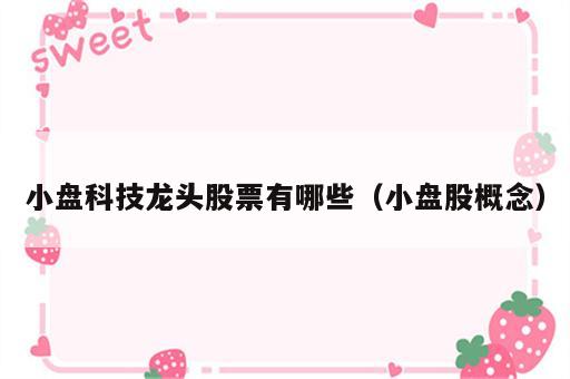 小盘科技龙头股票有哪些（小盘股概念）