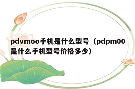 pdvmoo手机是什么型号（pdpm00是什么手机型号价格多少）
