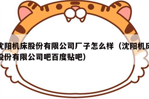 沈阳机床股份有限公司厂子怎么样（沈阳机床股份有限公司吧百度贴吧）