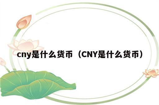 cny是什么货币（CNY是什么货币）