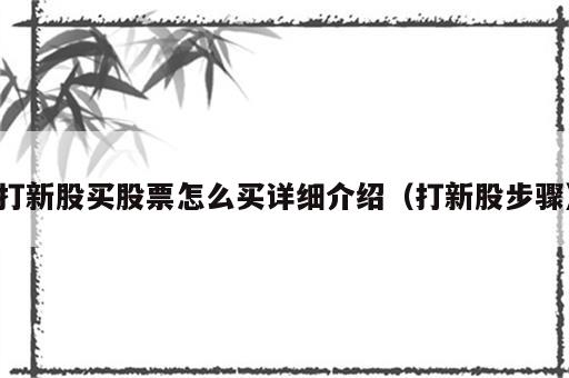 打新股买股票怎么买详细介绍（打新股步骤）
