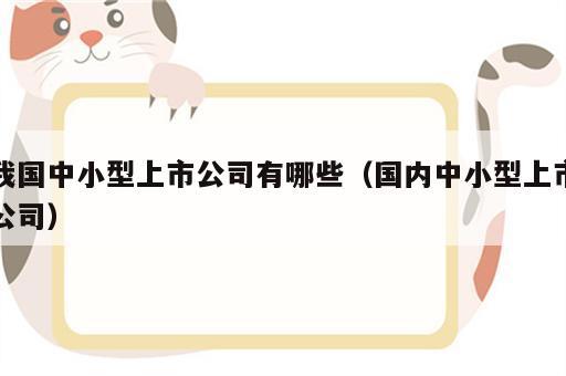 我国中小型上市公司有哪些（国内中小型上市公司）