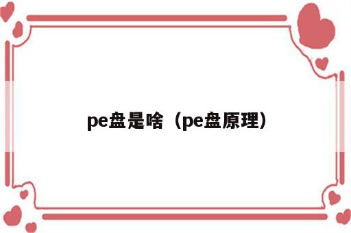 pe盘是啥（pe盘原理）