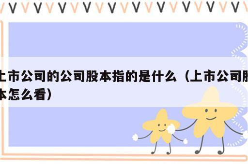上市公司的公司股本指的是什么（上市公司股本怎么看）