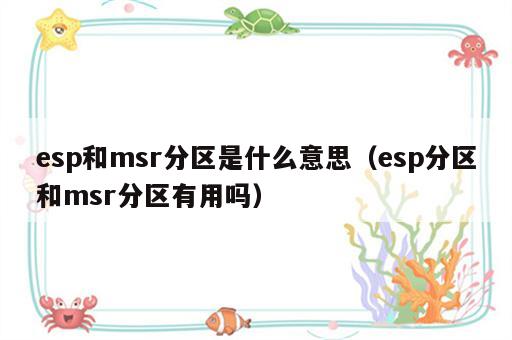 esp和msr分区是什么意思（esp分区和msr分区有用吗）