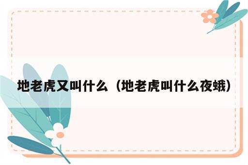 地老虎又叫什么（地老虎叫什么夜蛾）
