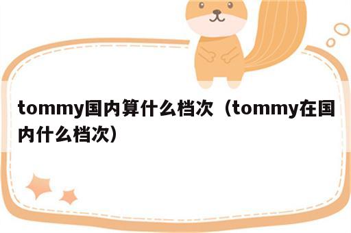 tommy国内算什么档次（tommy在国内什么档次）