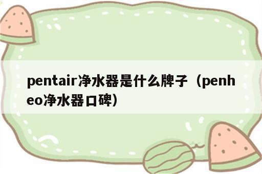 pentair净水器是什么牌子（penheo净水器口碑）