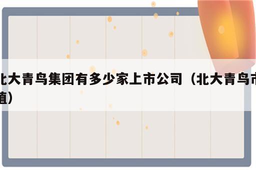 北大青鸟集团有多少家上市公司（北大青鸟市值）