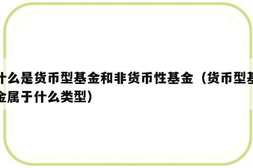 什么是货币型基金和非货币性基金（货币型基金属于什么类型）