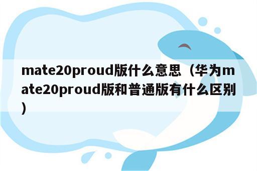 mate20proud版什么意思（华为mate20proud版和普通版有什么区别）