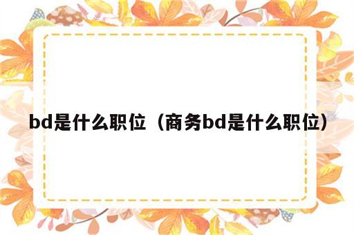 bd是什么职位（商务bd是什么职位）