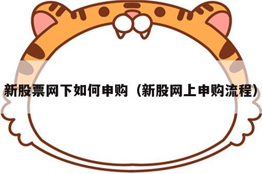 新股票网下如何申购（新股网上申购流程）