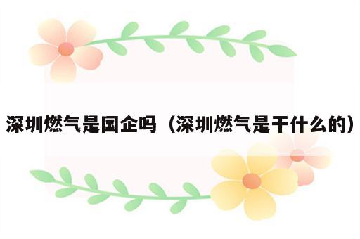深圳燃气是国企吗（深圳燃气是干什么的）