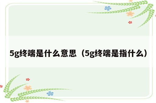 5g终端是什么意思（5g终端是指什么）