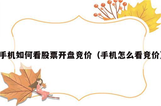 手机如何看股票开盘竞价（手机怎么看竞价）