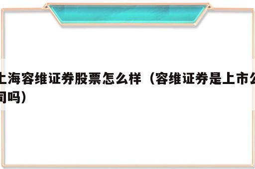 上海容维证券股票怎么样（容维证券是上市公司吗）