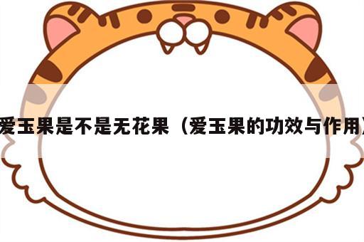 爱玉果是不是无花果（爱玉果的功效与作用）