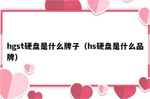 hgst硬盘是什么牌子（hs硬盘是什么品牌）