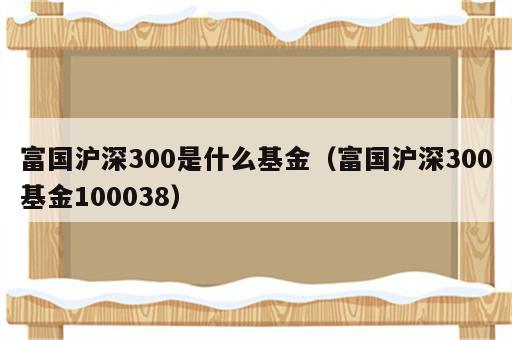 富国沪深300是什么基金（富国沪深300基金100038）