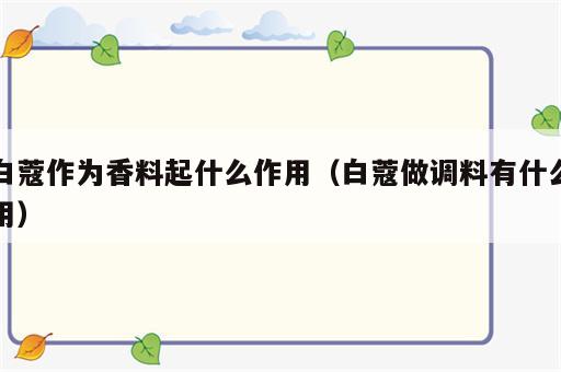 白蔻作为香料起什么作用（白蔻做调料有什么用）