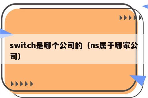 switch是哪个公司的（ns属于哪家公司）