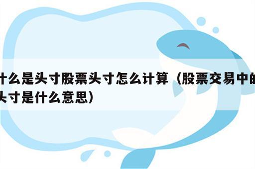 什么是头寸股票头寸怎么计算（股票交易中的头寸是什么意思）