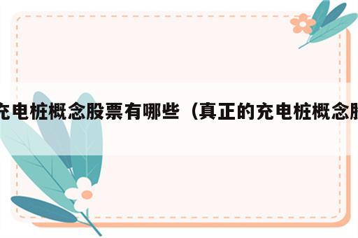 充电桩概念股票有哪些（真正的充电桩概念股）