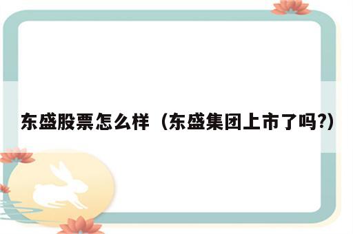 东盛股票怎么样（东盛集团上市了吗?）