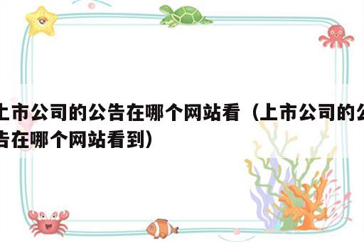 上市公司的公告在哪个网站看（上市公司的公告在哪个网站看到）