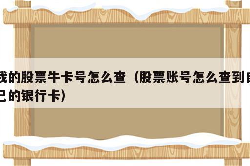 我的股票牛卡号怎么查（股票账号怎么查到自己的银行卡）