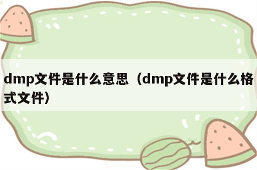 dmp文件是什么意思（dmp文件是什么格式文件）