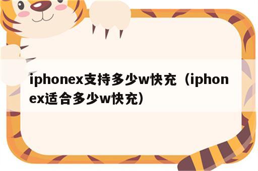 iphonex支持多少w快充（iphonex适合多少w快充）