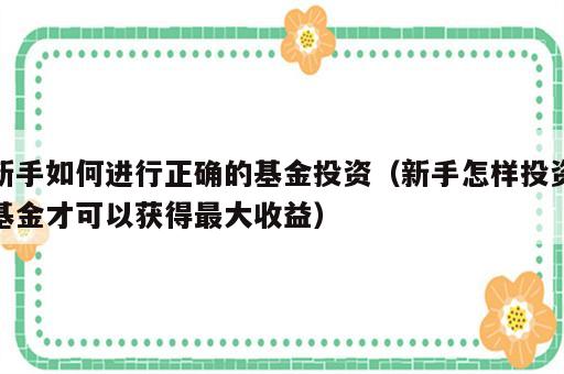 新手如何进行正确的基金投资（新手怎样投资基金才可以获得最大收益）