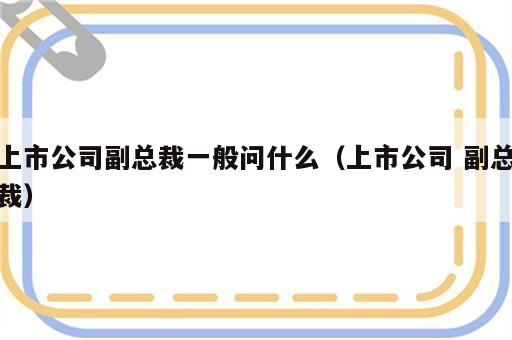 上市公司副总裁一般问什么（上市公司 副总裁）