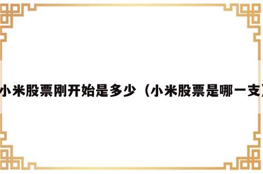 小米股票刚开始是多少（小米股票是哪一支）