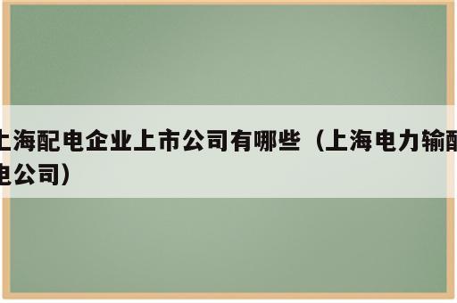 上海配电企业上市公司有哪些（上海电力输配电公司）