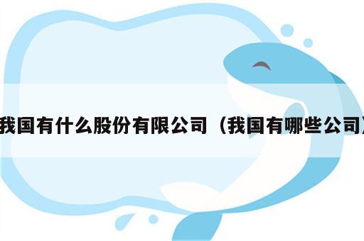 我国有什么股份有限公司（我国有哪些公司）