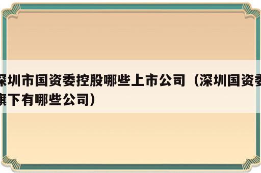 深圳市国资委控股哪些上市公司（深圳国资委旗下有哪些公司）