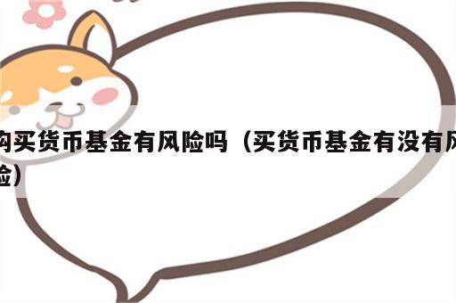 购买货币基金有风险吗（买货币基金有没有风险）