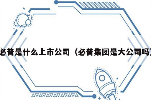 必普是什么上市公司（必普集团是大公司吗）