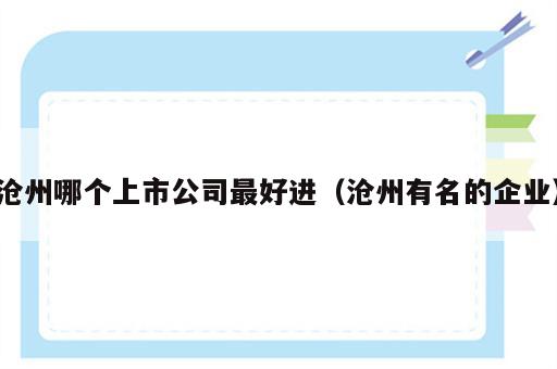 沧州哪个上市公司最好进（沧州有名的企业）