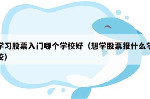 学习股票入门哪个学校好（想学股票报什么学校）