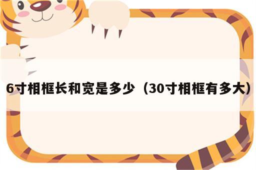 6寸相框长和宽是多少（30寸相框有多大）